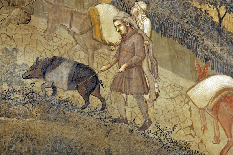 Cinta senese particolare degli Effetti del Buongoverno in campagna di Ambrogio Lorenzetti